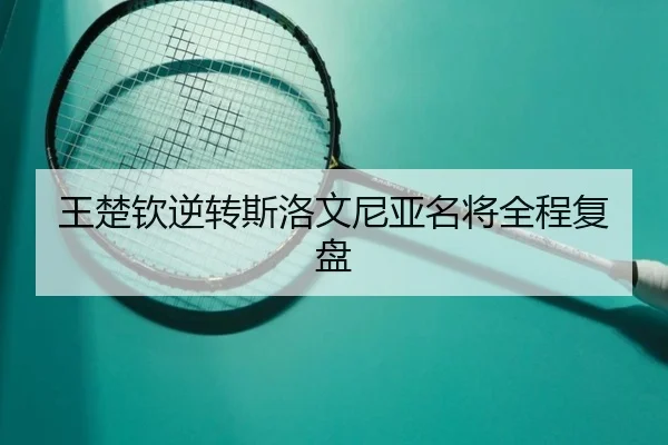王楚钦逆转斯洛文尼亚名将全程复盘